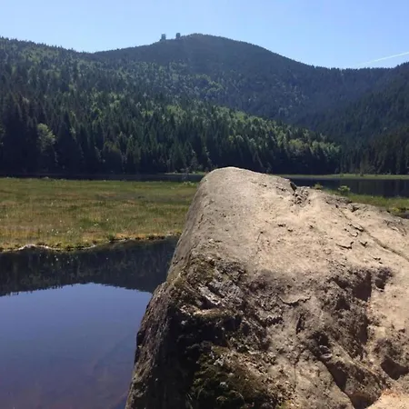 With Sauna In The Bavarian Forest 펜션