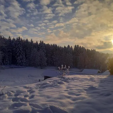 With Sauna In The Bavarian Forest *