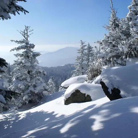 With Sauna In The Bavarian Forest Viechtach