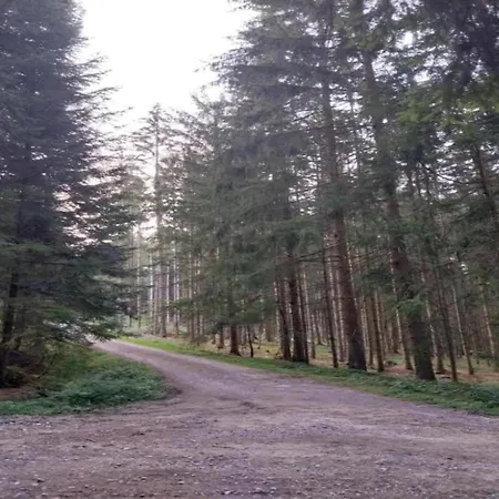 Сasa de vacaciones With Sauna In The Bavarian Forest