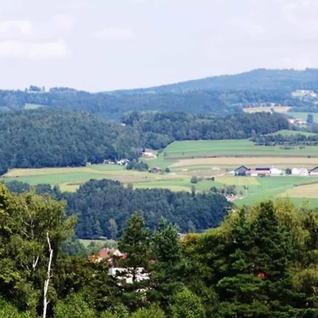 With Sauna In The Bavarian Forest Viechtach