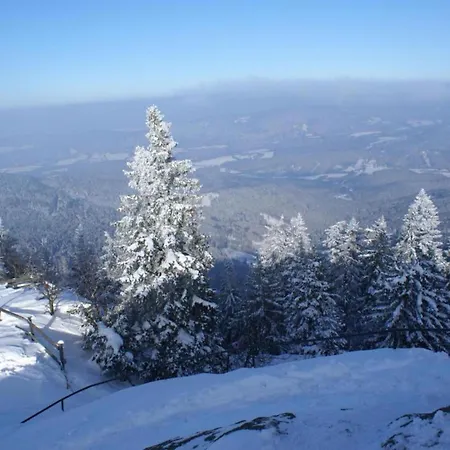 With Sauna In The Bavarian Forest 펜션 *