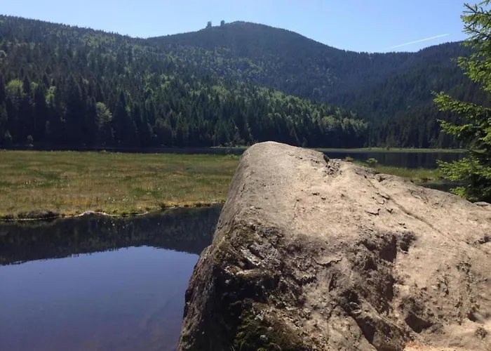 With Sauna In The Bavarian Forest בית נופש