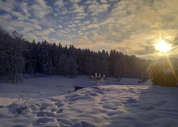With Sauna In The Bavarian Forest *