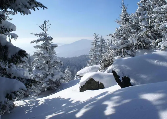 With Sauna In The Bavarian Forest וייכטאך