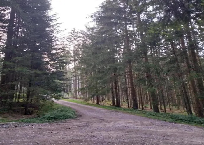 בית נופש With Sauna In The Bavarian Forest