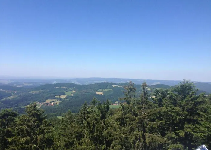 With Sauna In The Bavarian Forest בית נופש וייכטאך