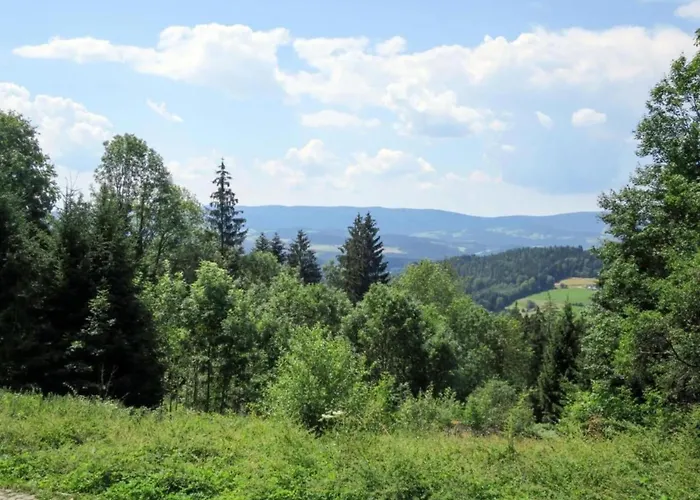 With Sauna In The Bavarian Forest * וייכטאך
