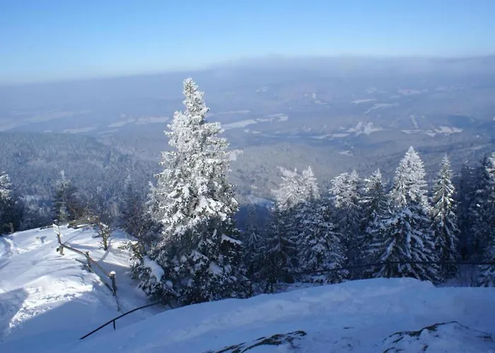 With Sauna In The Bavarian Forest בית נופש *